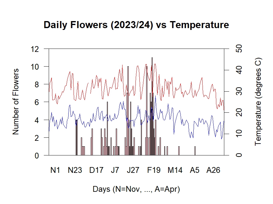 Flowers vs Temperature 2023/24